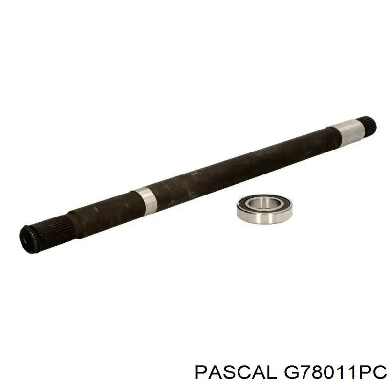 Przegub homokinetyczny przednni wału Cardana przedniego Pascal G78011PC cena, od 35,44 USD