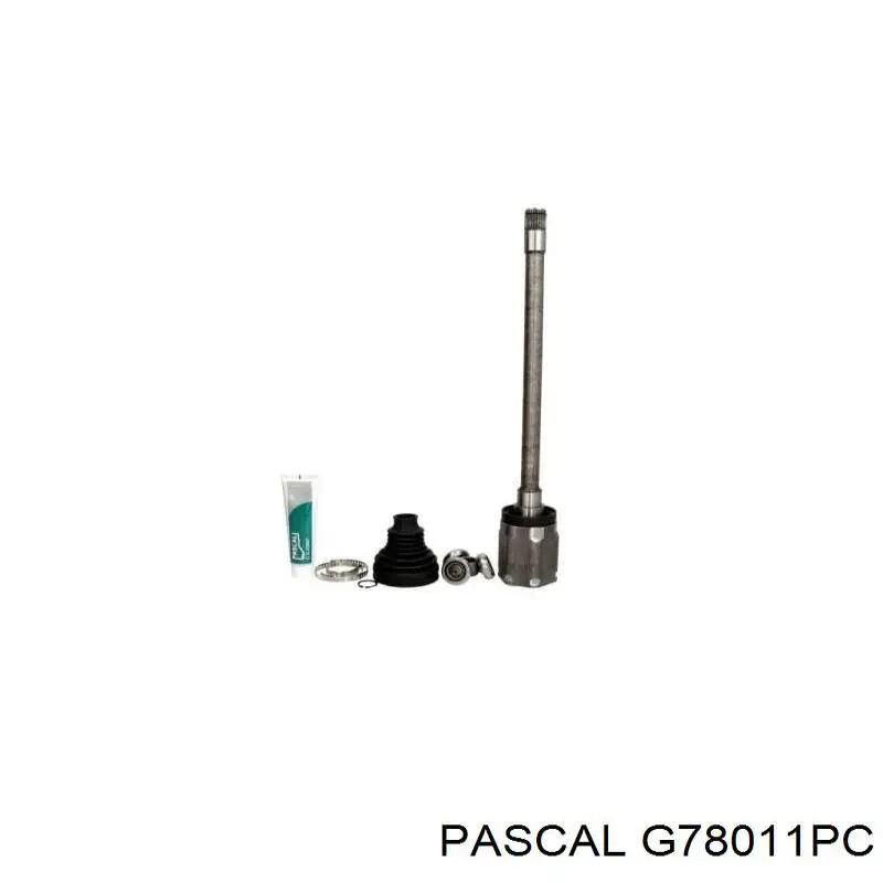 Do koszyka G78011PC Pascal Przegub homokinetyczny przednni wału Cardana przedniego