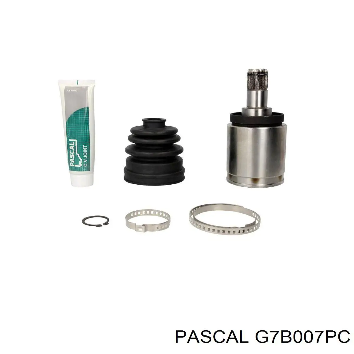  Pascal G7B007PC cena, od 61,86 USD