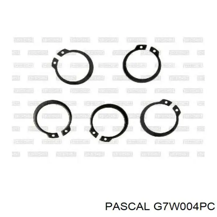 Do koszyka G7W004PC Pascal Przegub homokinetyczny przedni wewnętrzny