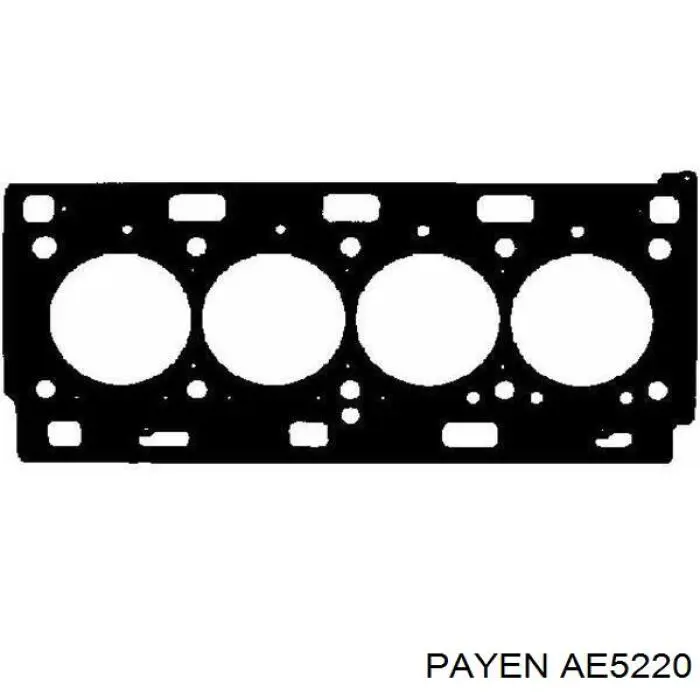 Do koszyka AE5220 Payen Uszczelka głowicy cylindrów