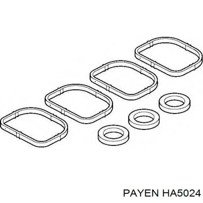 HA5024 Payen uszczelka kolektora ssącego