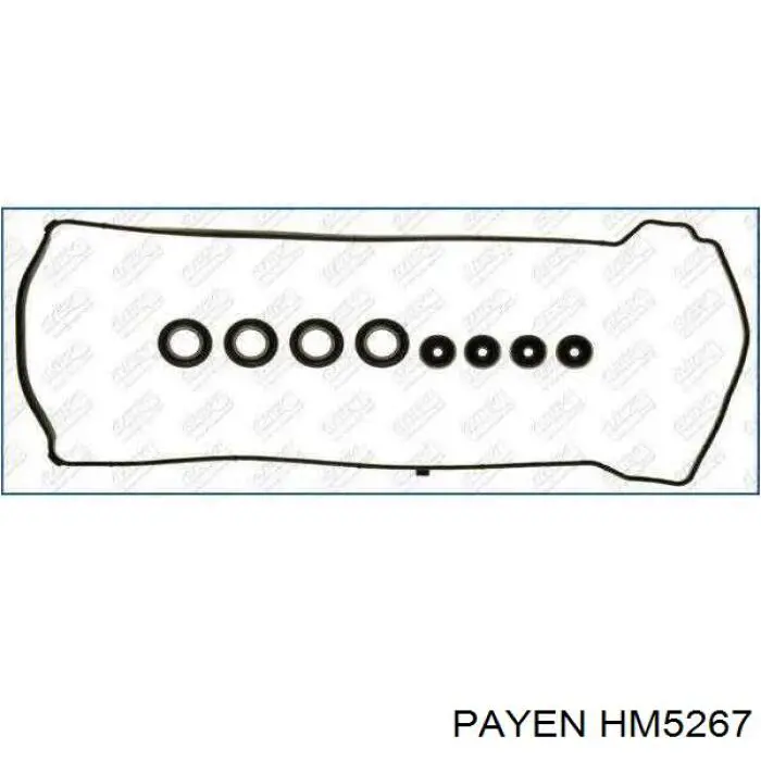 HM5267 Payen Uszczelka pokrywy zaworowej silnika