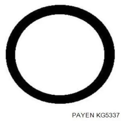 Do koszyka 9194750 General Motors Uszczelka kolektora ssącego