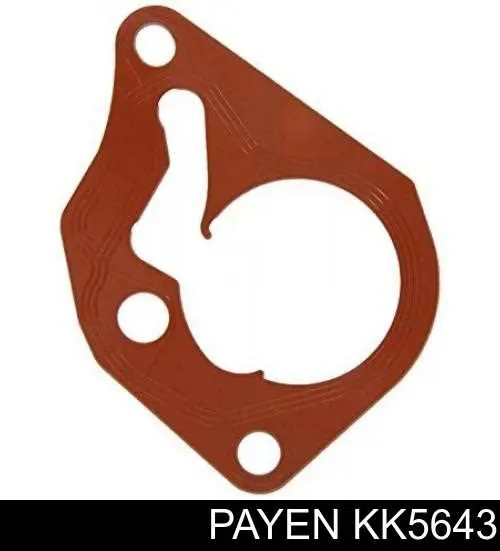 KK5643 Payen Uszczelka pompy próżniowej