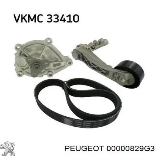 Napinacz łańcucha rozrządu Peugeot/Citroen 00000829G3 cena, od 33,66 USD