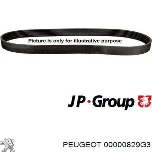 Do koszyka 00000829G3 Peugeot/Citroen Napinacz łańcucha rozrządu