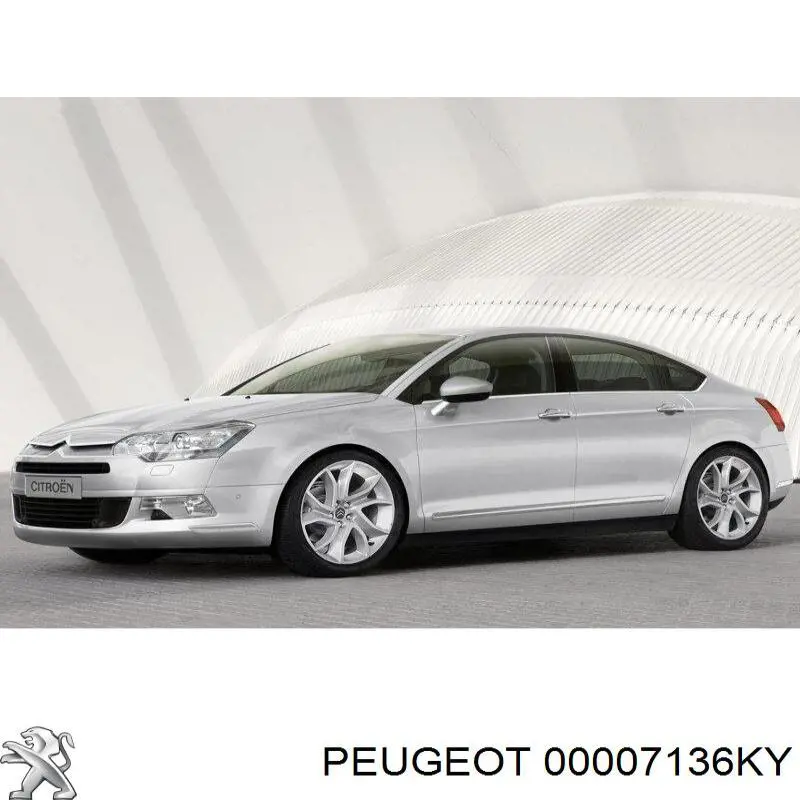Nadkole błotnika przedniego prawe Citroen C5  III  kombi (RW) (2008 - 2017) cena, od 30,14 USD