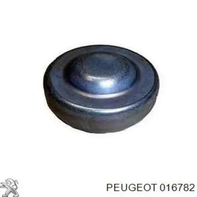  Zaślepka głowicy cylindrów/bloku cylindrów Peugeot 206 