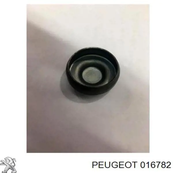 Zaślepka głowicy cylindrów/bloku cylindrów Peugeot 206 hatchback (2A/C) (1998 - 2008) cena, od 3,07 USD