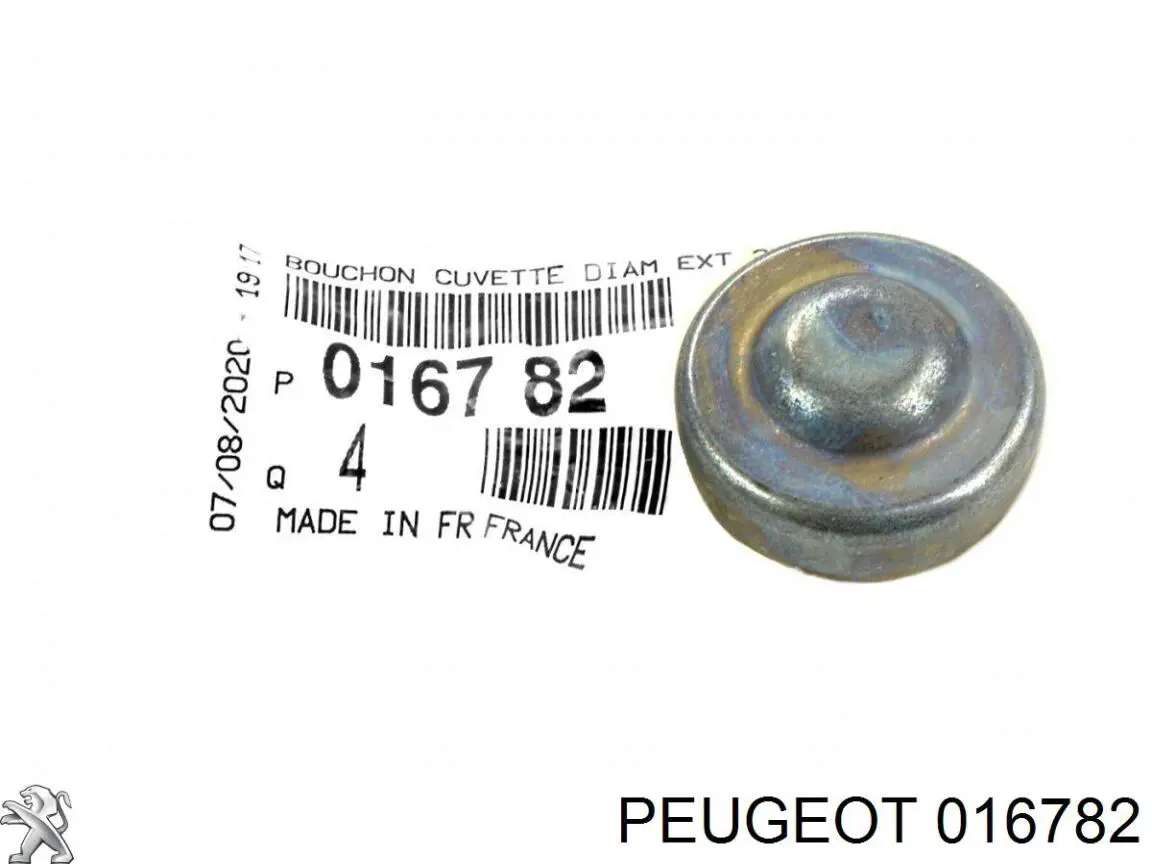 Do koszyka Zaślepka głowicy cylindrów/bloku cylindrów Peugeot 206  2A/C