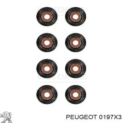 Do koszyka 0197X3 Peugeot/Citroen Zestaw uszczelek silnika górny