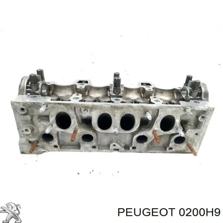 Głowica cylindrów do Nissan Micra  K11