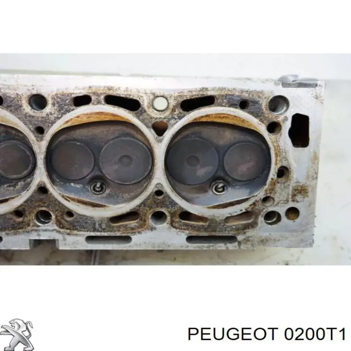 Do koszyka Głowica cylindrów Peugeot 605  6B