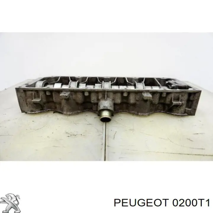  Głowica cylindrów Peugeot 605 