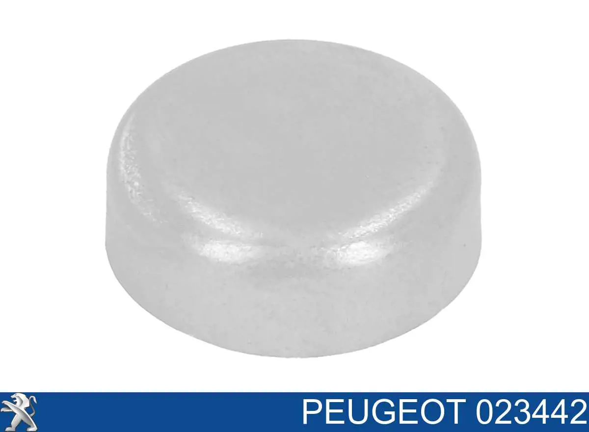 023442 Peugeot/Citroen Zaślepka głowicy cylindrów/bloku cylindrów