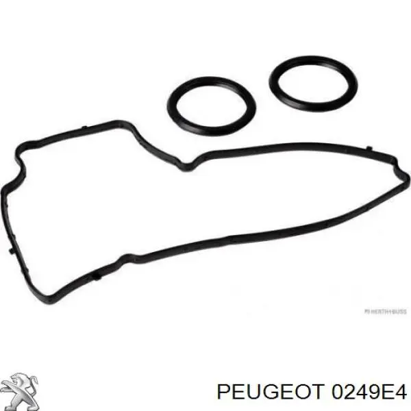 0249E4 Peugeot/Citroen Uszczelka pokrywy zaworowej silnika