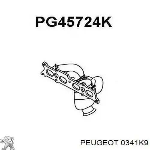 Kolektor wydechowy Peugeot/Citroen 0341K9 cena, od 706,36 USD