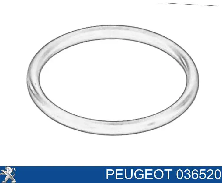 036520 Peugeot/Citroen Uszczelka pierścieniowa węża chłodnicy