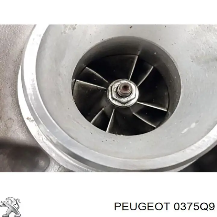 Do koszyka 0375Q9 Peugeot/Citroen Turbina