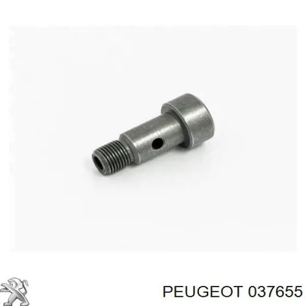 037655 Peugeot/Citroen Śruba rurki doprowadzającej olej do turbosprężarki