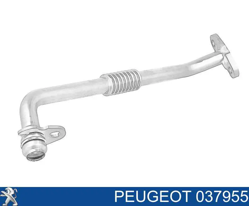037955 Peugeot/Citroen Rurka (przewód) spływu oleju z turbiny