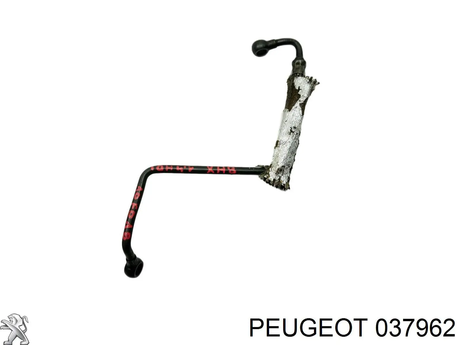 037962 Peugeot/Citroen Rurka (przewód) dopływu oleju do turbiny