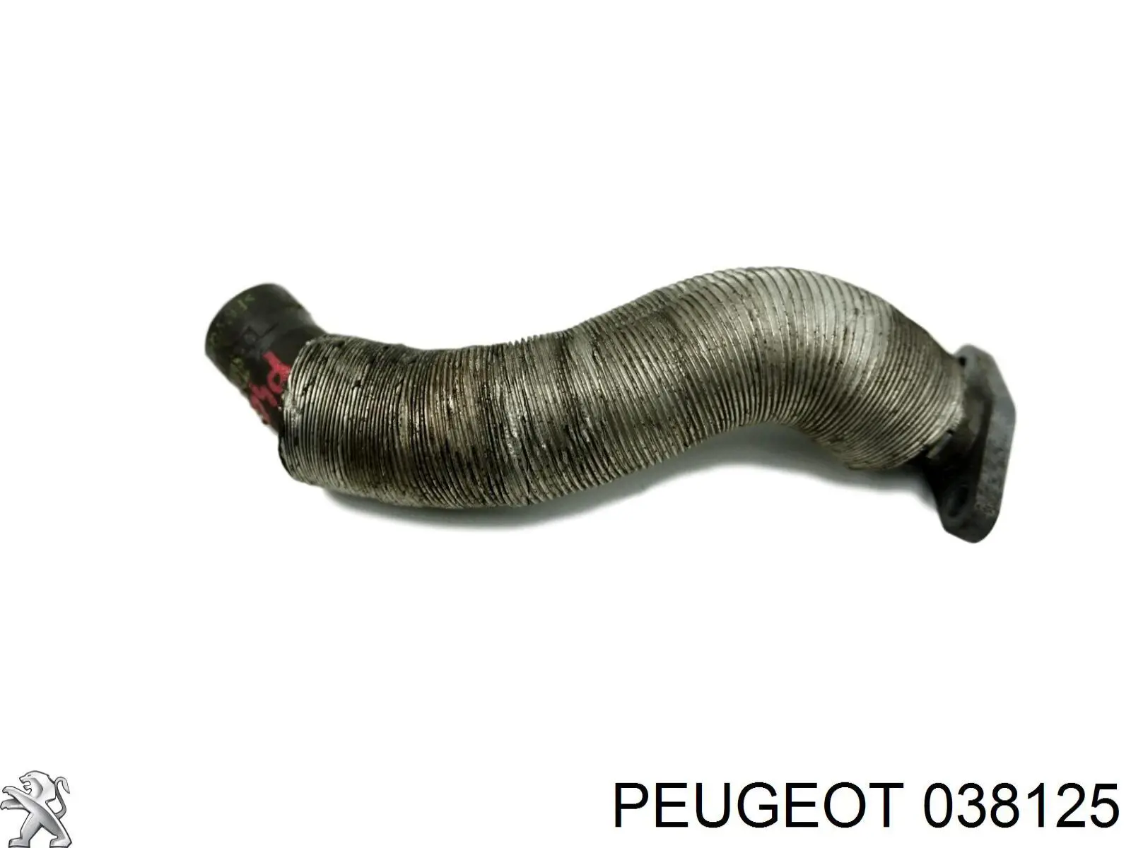 Rurka (przewód) spływu oleju z turbiny Peugeot/Citroen 038125 cena, od 27,98 USD