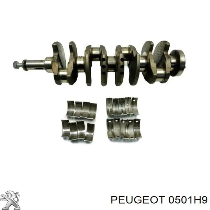 0501H9 Peugeot/Citroen Wał korbowy silnika