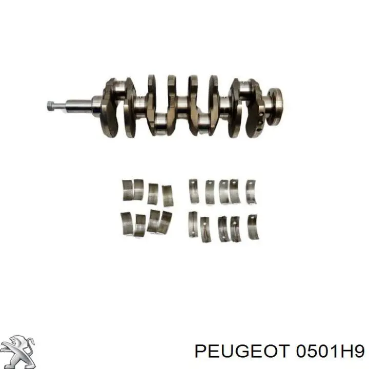 Wał korbowy silnika Peugeot/Citroen 0501H9 cena, od 95,55 USD
