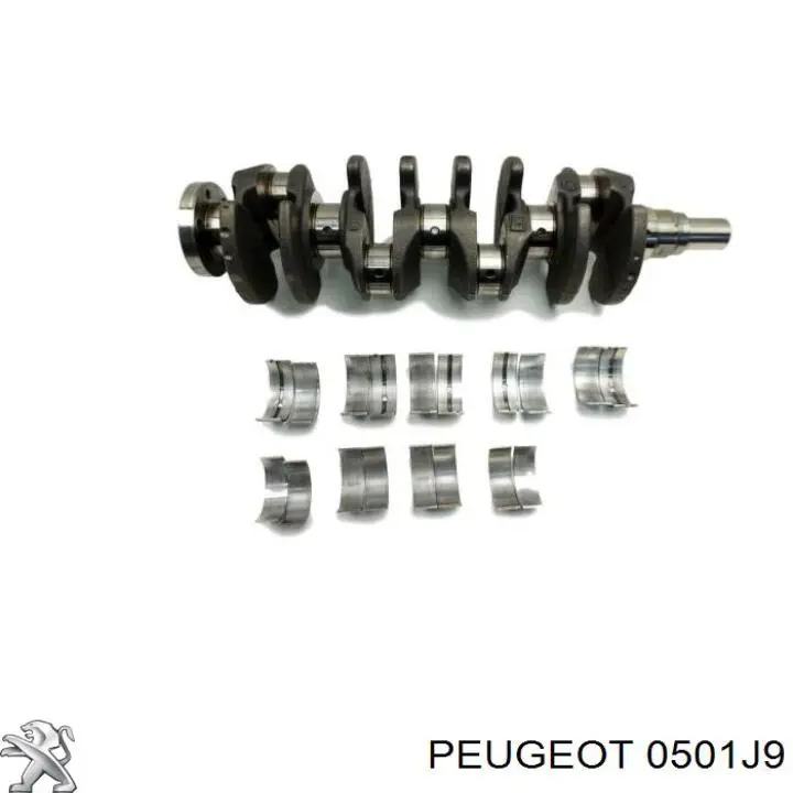Do koszyka Wał korbowy silnika Peugeot 107  
