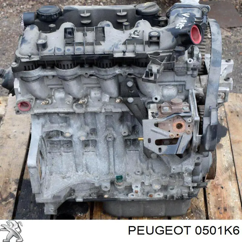 0501K6 Peugeot/Citroen Wał korbowy silnika