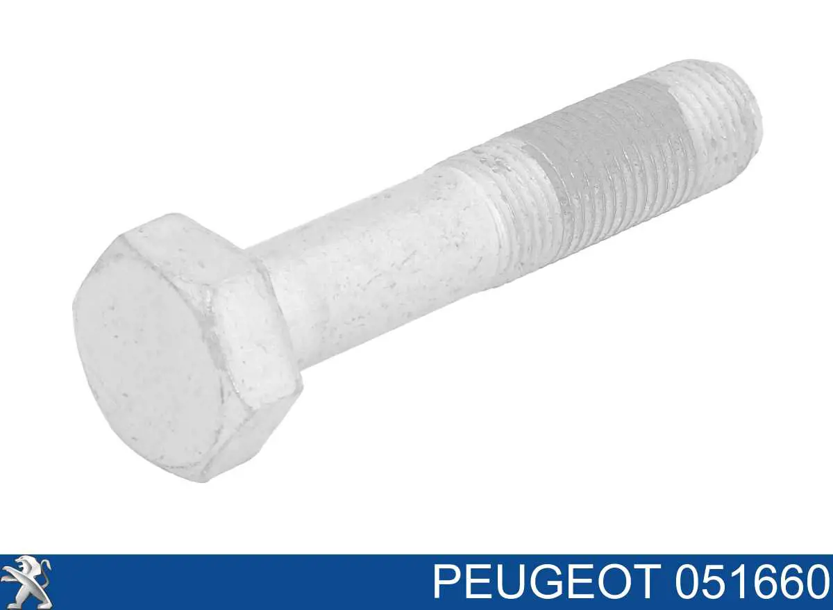 051660 Peugeot/Citroen Śruba koła pasowego wału korbowego