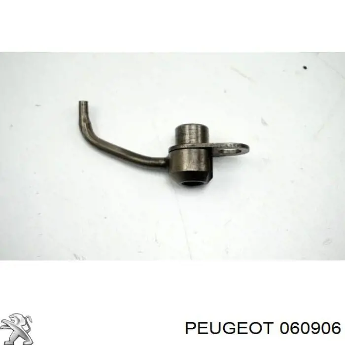 Wtryskiwacz olejowy Peugeot/Citroen 060906 cena, od 24,88 USD