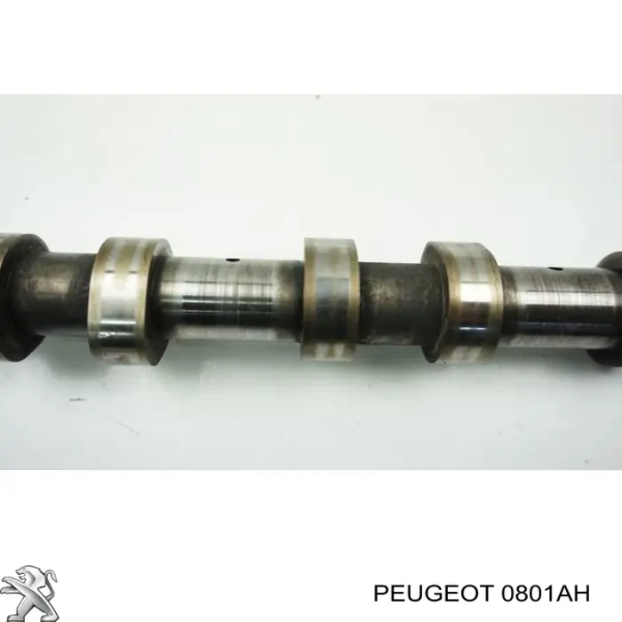 Do koszyka 0801AH Peugeot/Citroen Wał rozrządu silnika wylotowy, wydechowy