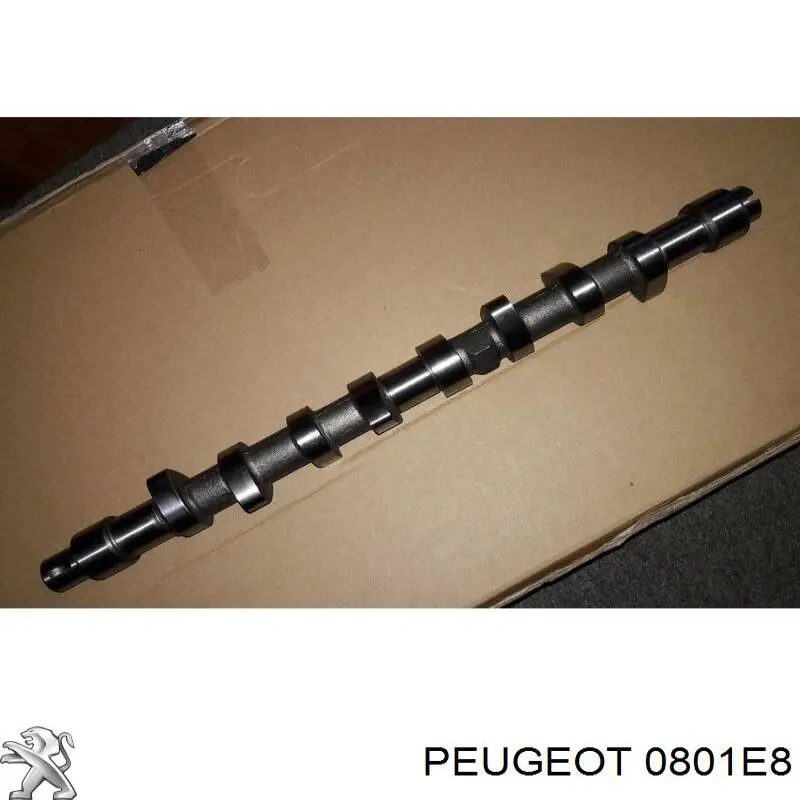 0801E8 Peugeot/Citroen Wał rozrządu silnika