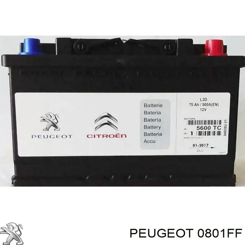 Wał rozrządu silnika ssący, dolotowy do Citroen C4 II B7