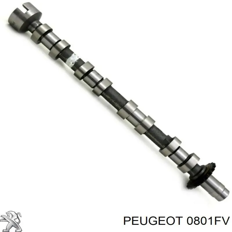 0801FV Peugeot/Citroen Wał rozrządu silnika ssący, dolotowy