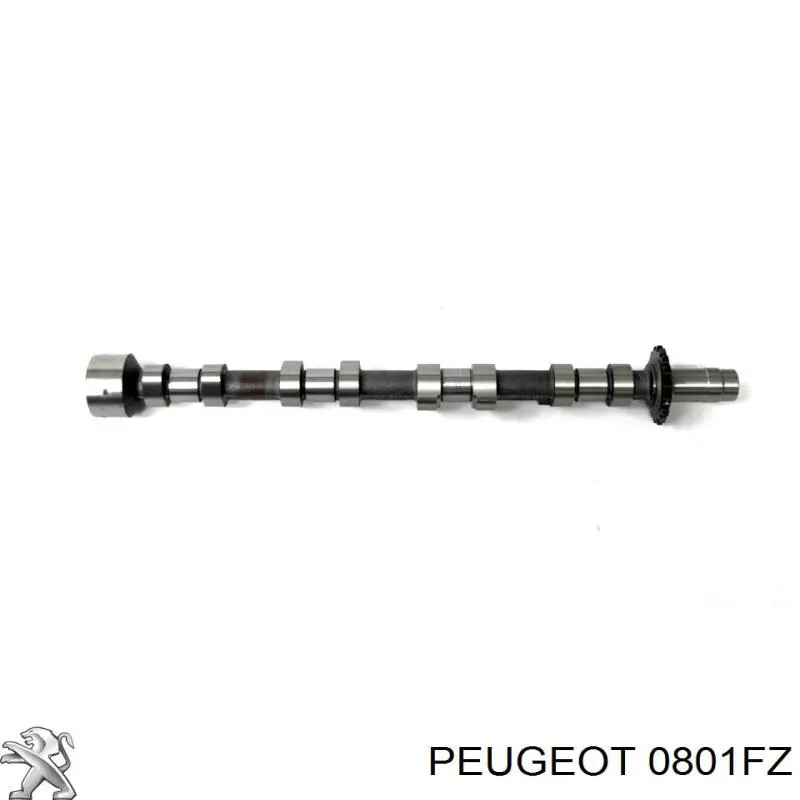 0801FZ Peugeot/Citroen Wał rozrządu silnika wylotowy, wydechowy
