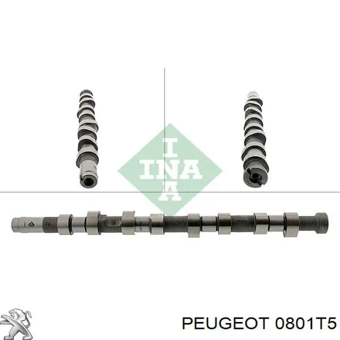 0801T5 Peugeot/Citroen Wał rozrządu silnika