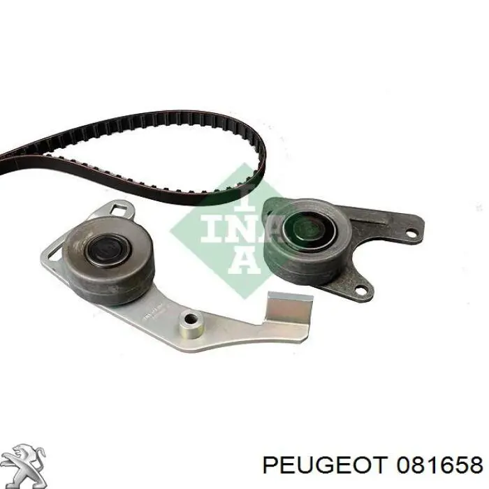 081658 Peugeot/Citroen Pasek rozrządu, zestaw