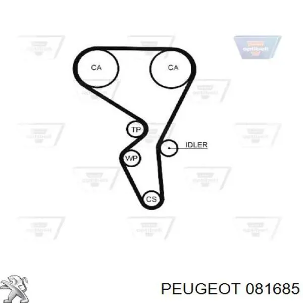 Pasek rozrządu Continental/Siemens CT864 cena, od 12,36 USD