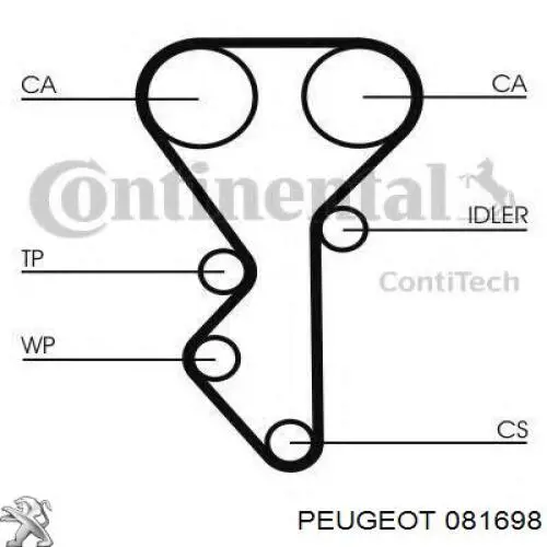 Do koszyka 081698 Peugeot/Citroen Pasek rozrządu