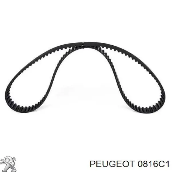 0816C1 Peugeot/Citroen Pasek rozrządu