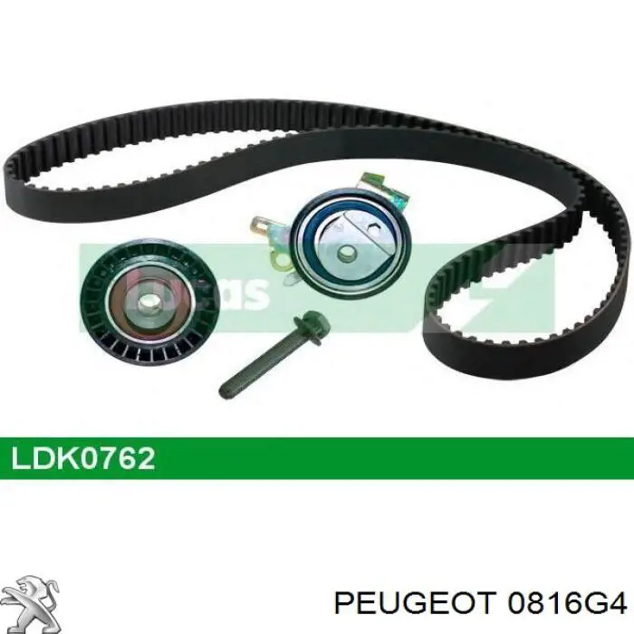Pasek rozrządu 0816G4 Peugeot/Citroen