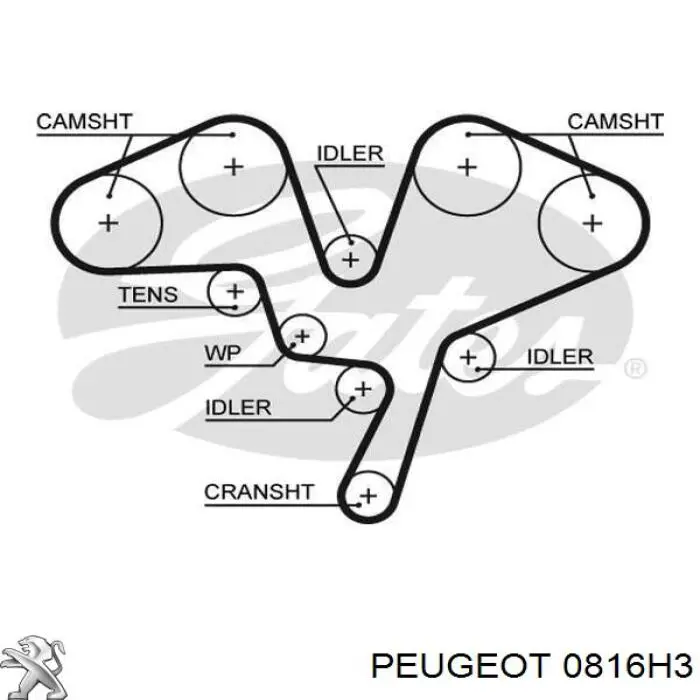 Pasek rozrządu Peugeot/Citroen 0816H3 cena, od 56,06 USD