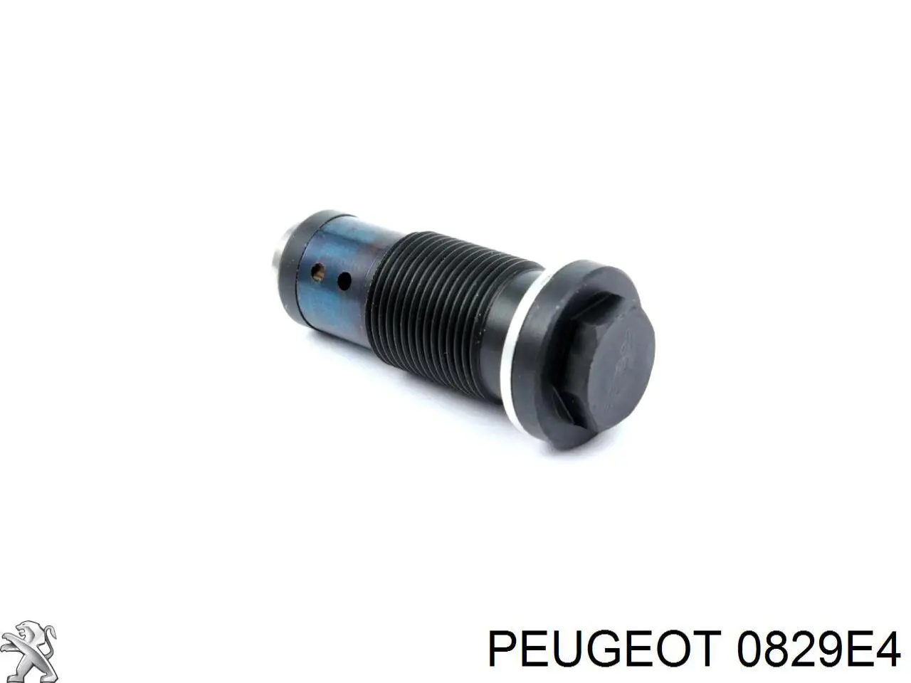 Napinacz łańcucha rozrządu 5801617802 Fiat/Alfa/Lancia