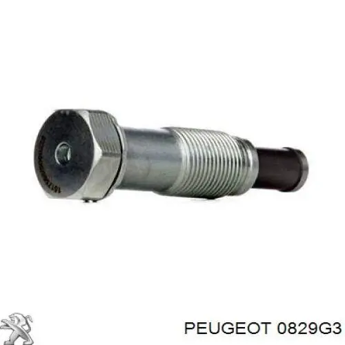 Do koszyka 00000829G3 Peugeot/Citroen Napinacz łańcucha rozrządu