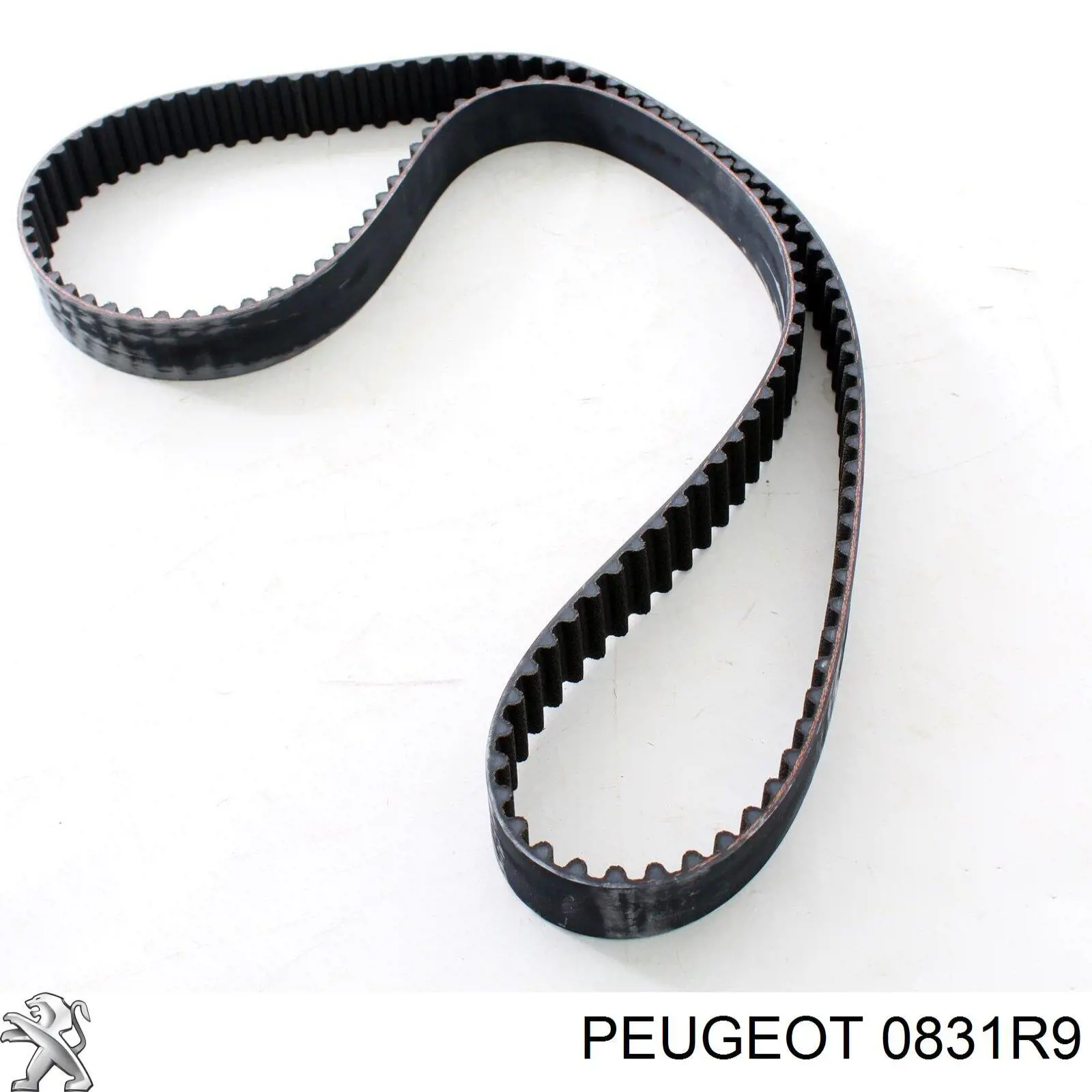 Do koszyka 0831R9 Peugeot/Citroen Pasek rozrządu, zestaw
