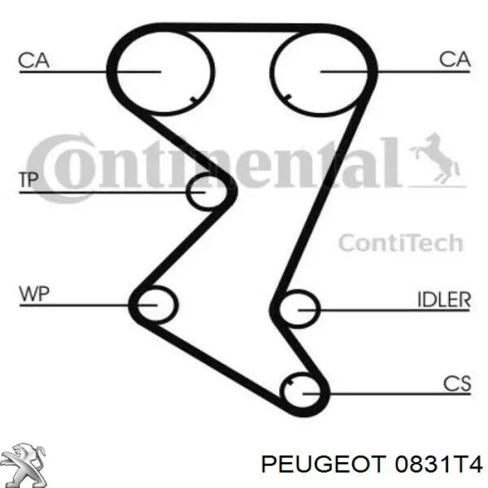 Pasek rozrządu, zestaw 0831T4 Peugeot/Citroen